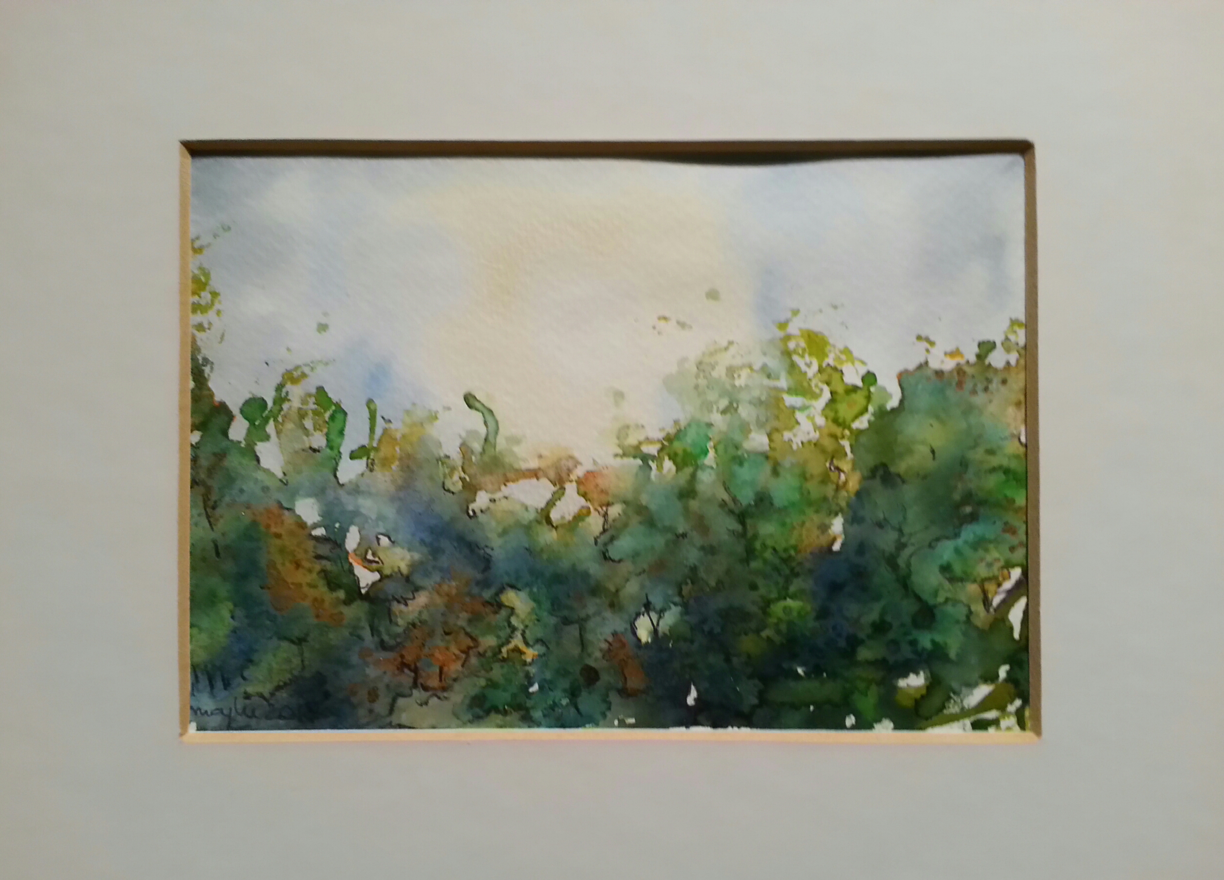 20170109_184311_lls-1-1