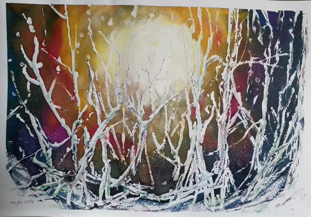 20170110_130236_lls-1